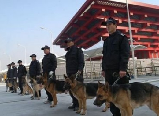 关于保安服务-犬防服务