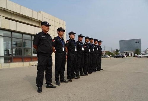 怎样建立高效的联合巡查机制？