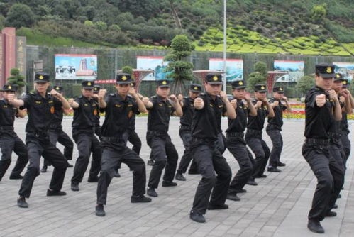 外包保安的培训体系如何搭建？